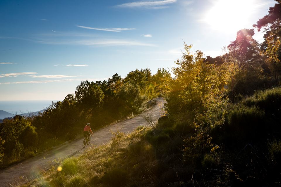 beautiful bike trail and scenery