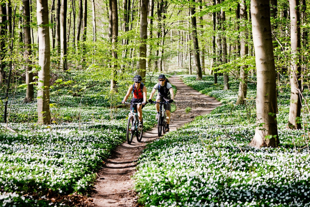 Is Your Pollen Allergy Affecting Your Spring Ride?