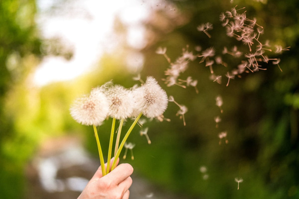 Don’t Let Allergies Ruin Your Spring Rides