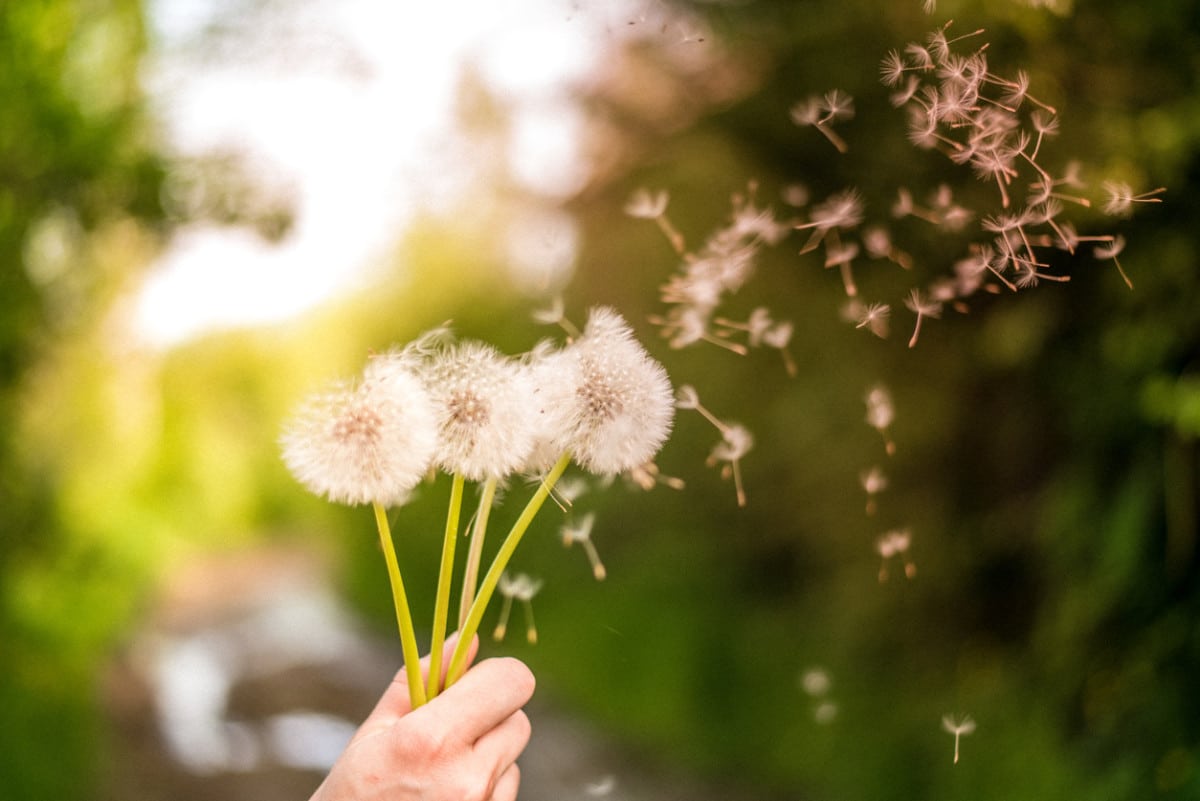 Don’t Let Allergies Ruin Your Spring Rides