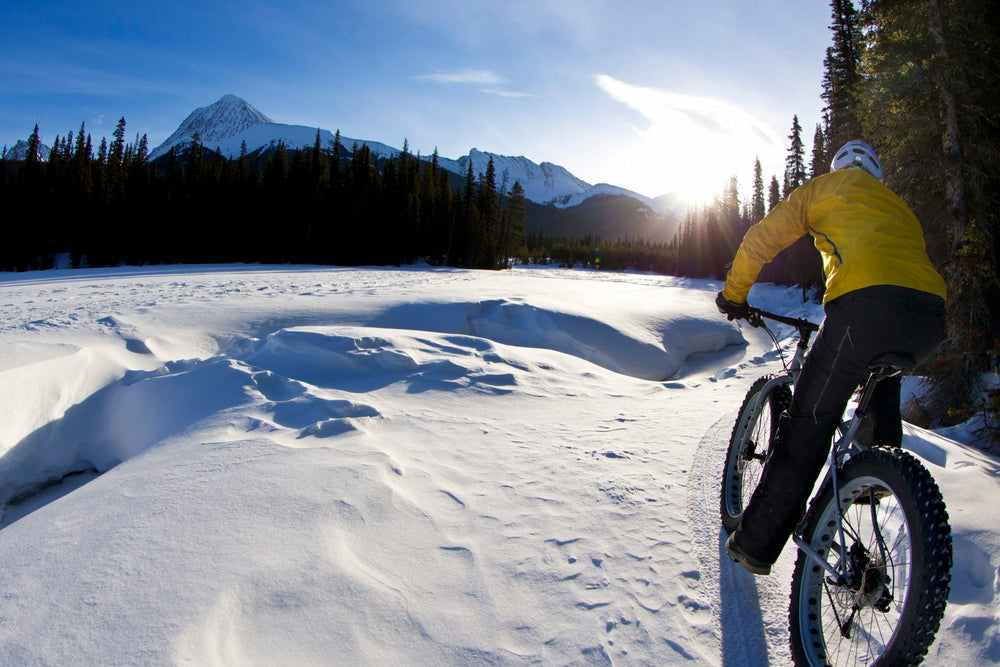 person biking in a beautiful winter landscape