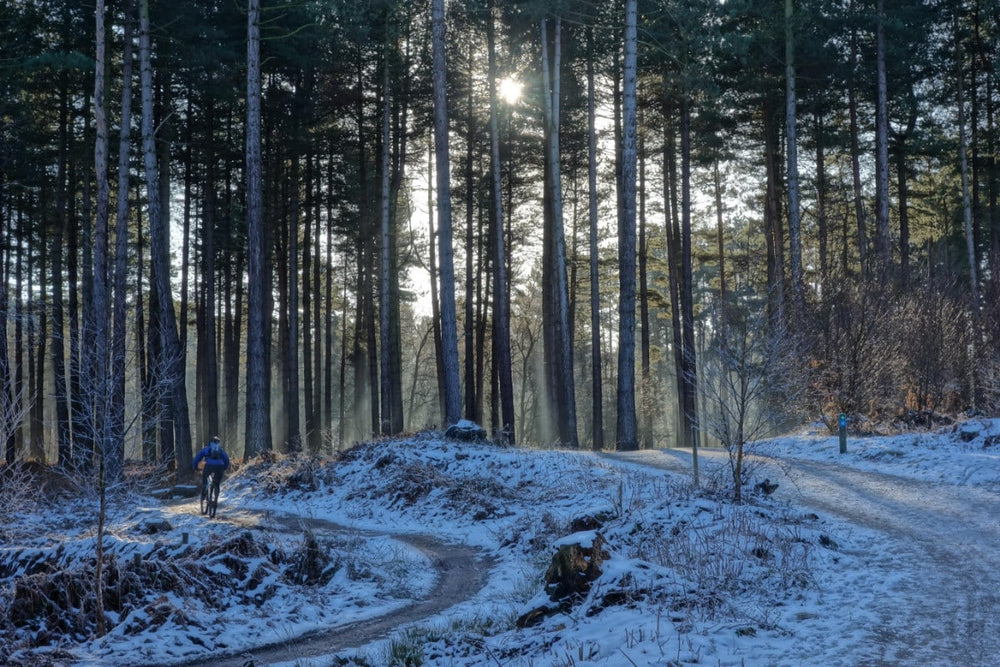 3 Cold Weather Cycling Tips to Remember