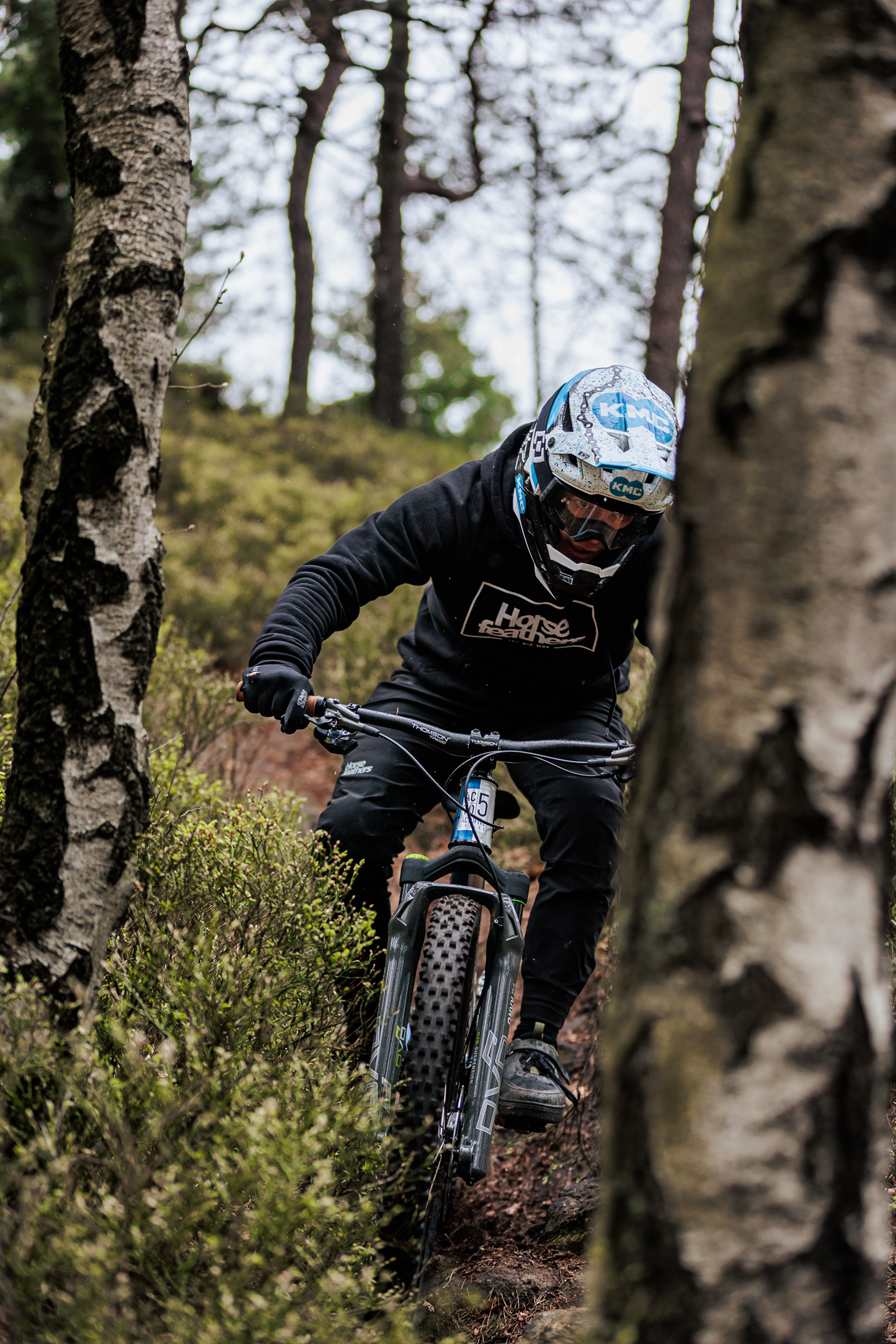Mountain Bikes