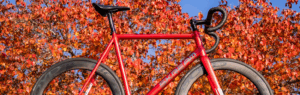red bike in front of red leaves