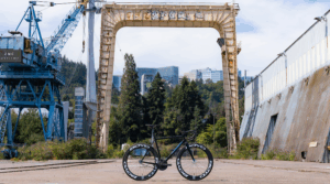 thomson skeeter steel bike frame