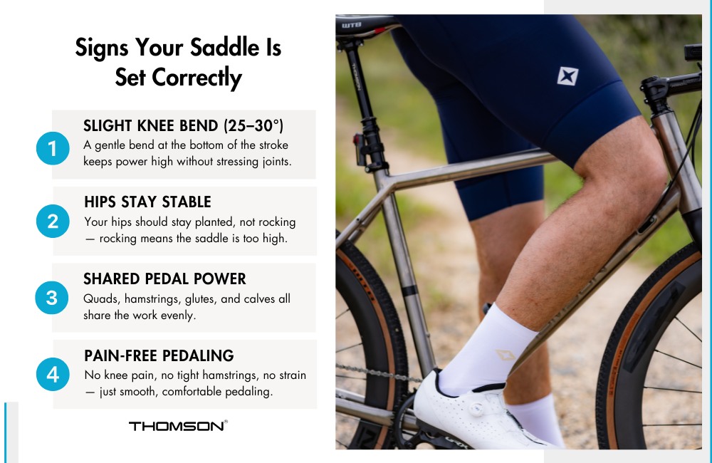 signs your bike saddle is the correct height infographic